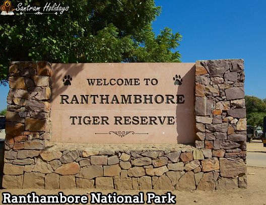 Ranthambore with Golden Triangle